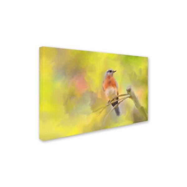 Jai Johnson 'Spring Bluebird' Canvas Art,30x47